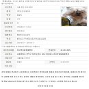 러브펫종합동물병원 이미지