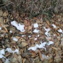 백양산임도 이미지