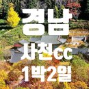 비토섬 신우리조트(주) 이미지