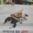 김경환치과의원 이미지
