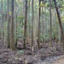 HS부동산중개사무소 이미지