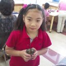 불이농촌 이미지