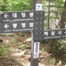 동산장 이미지
