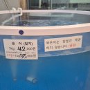 세종수산 | 세종 대방어 맛집 중부수산 광어와 방어회 포장 후기