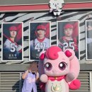 소라야 | 메기남의 등장... 260501~260502 kt vs 기아 야구 직관 후기