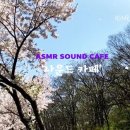 꽃소리BLOSSOM