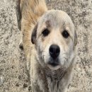 대곡1리마을회관 이미지