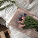 성북-종암-11 이미지