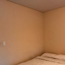 아름다운 애견 이미지