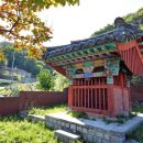 배흥립장군 묘소 이미지