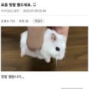 이마트24철원요양병원점-담배 | [23.08.14-08.20] 직관 첫 승요 인사드려요