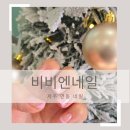 비비엔네일