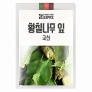 약초 이미지