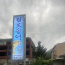 월드송어횟집 이미지