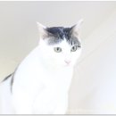 나비호텔 이미지