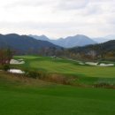 더플레이어스골프클럽 이미지