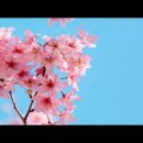 04/30 오늘의 묵상 (거듭된 죄악, 거듭된 긍휼) 이미지
