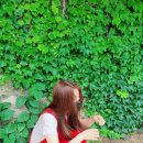 대청소닷컴 이미지