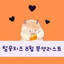 털뭉치즈 이미지