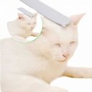 힐링그루밍 이미지