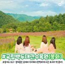 청송세탁소 이미지