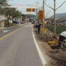 산토끼노래동산 이미지