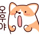 댕댕점빵