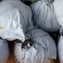 풍성농원 이미지