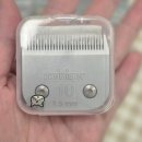 제주냐옹실 고양이미용 이미지