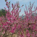 소법1리 마을회관 이미지