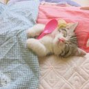 쌍광상회 이미지