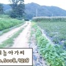 준옹농장 이미지