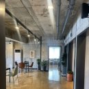 앙갤러리 카페 이미지