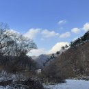 금광카써비스 | 경기 안성 캠핑, 안성 반딧불캠핑장 — 조용함을 찾는 신혼부부·소수 인원 캠핑에 강추