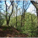 매봉산4 이미지