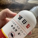 노린재퇴치법 5초면 끝⏱️ 전문가가 말한 꿀조합은 이것!!!