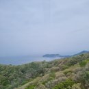 레드울프 | [신세계 L&amp;B) 울프블라스 레드라벨 솔직후기(쉬라즈, 까베르네 소비뇽 할인행사)