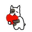 박경규항아리보쌈 이미지