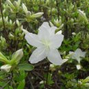 이마트 약국 이미지