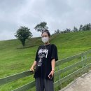 양아목장 이미지