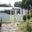 제주 이리스 이미지