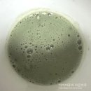 송원마트 | 송원 17곡 쑥차, 롯데 카스타드 우유크림맛 #내돈내산 후기