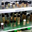 자라는 씨앗 이미지