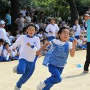 파랑청과 이미지