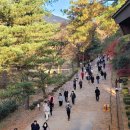 서울대 관악수목원 이미지