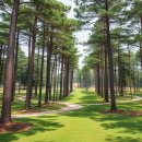 장호원파크골프장 이미지