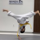 지산 최우수 태권도장 이미지
