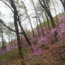 흥덕지역아동센터 이미지