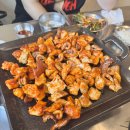 칠성식당 티스토리