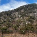 하일계곡 소나무집 | 청주 근교 괴산 캠핑 후영캠핑장 3박 4일 A1 명당 사이트 주차 계곡 내돈내산